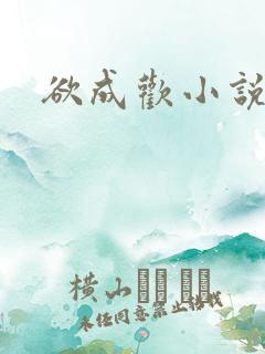 欲成欢小说