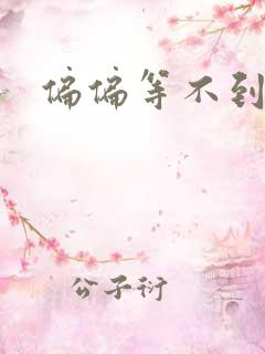 偏偏等不到小说