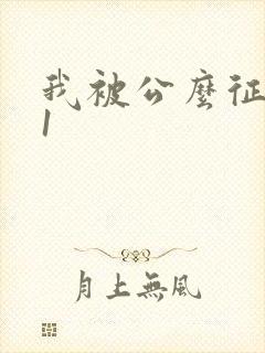 我被公么征服了1