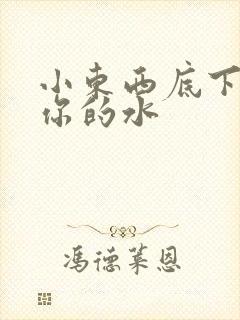 小东西底下都是你的水
