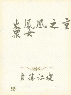火凤凰之重生干众女