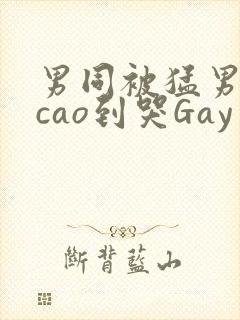 男同被猛男房东cao到哭Gay