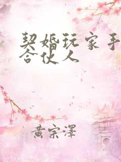 契婚玩家手册之合伙人