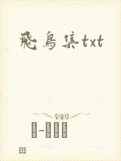 飞鸟集txt