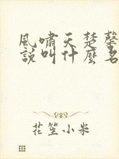 风啸天楚馨月小说叫什么名字