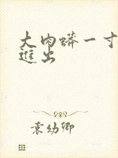 大肉蟒一寸一寸进出