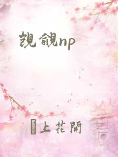 觊觎np