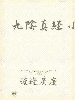 九阴真经 小说