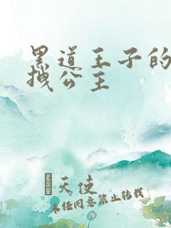 黑道王子的可爱拽公主