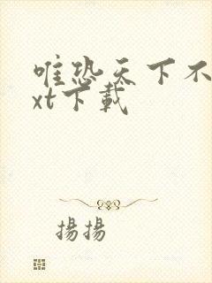 唯恐天下不乱txt下载