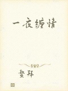 一夜缠情
