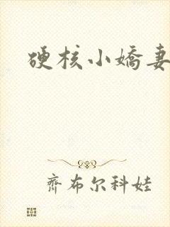 硬核小娇妻