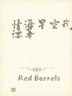 情海星空我与刘德华