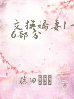 交换娇妻1一36部分