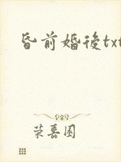 昏前婚后txt