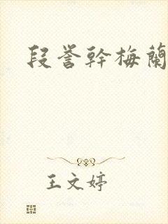 段誉干梅兰竹菊