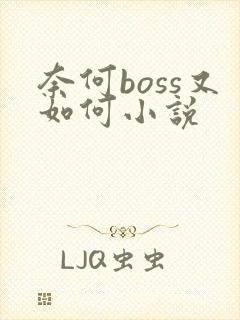 奈何boss又如何小说