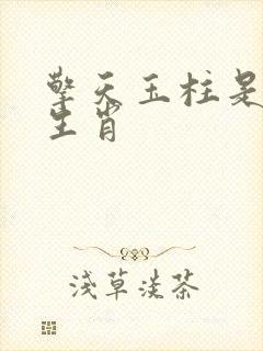 擎天玉柱是什么生肖