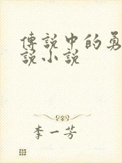 传说中的勇者传说小说