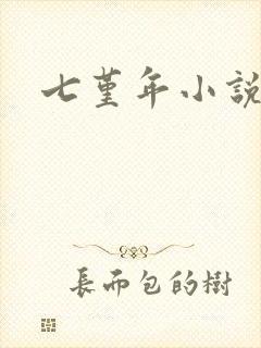 七堇年小说下载