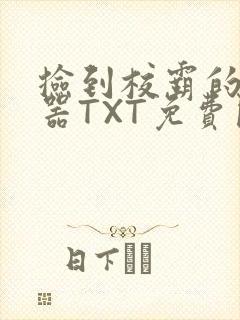 捡到校霸的遥控器TXT免费阅读