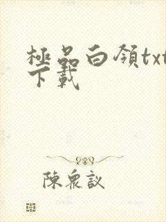 极品白领txt下载