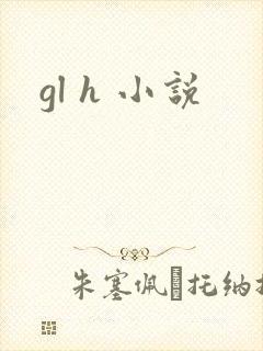 gl h 小说