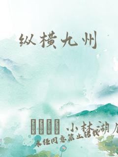 纵横九州