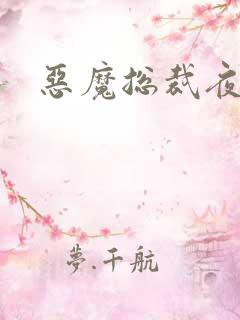 恶魔总裁夜锁爱