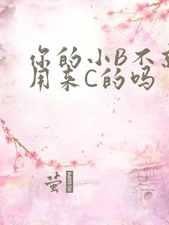 你的小B不就是用来C的吗