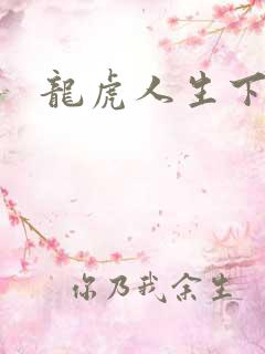 龙虎人生下载