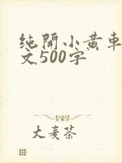 纯开小黄车小短文500字