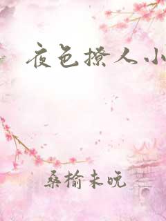 夜色撩人小说