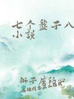 七个盘子八个碗小说