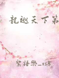 龙巡天下第四部