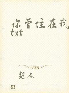 你曾住在我心上txt