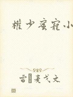 权少蜜宠小娇妻