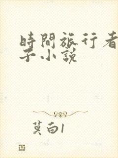 时间旅行者的妻子小说