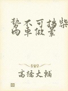 势不可挡柴鸡蛋肉车做晕