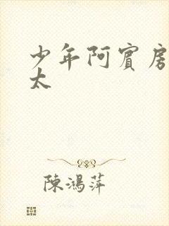 少年阿宾房东太太