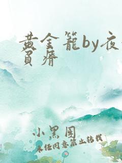 黄金笼by夜很贫瘠