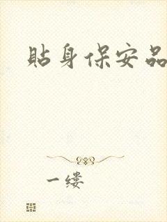 贴身保安品书网