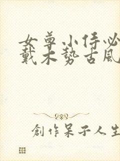 女尊小侍必须佩戴木势古风