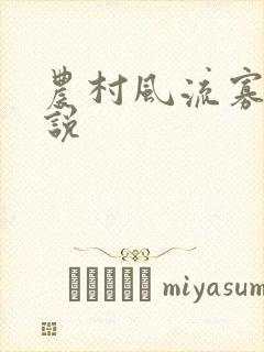 农村风流寡妇小说