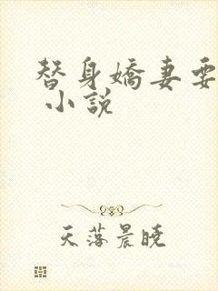 替身娇妻要离婚 小说