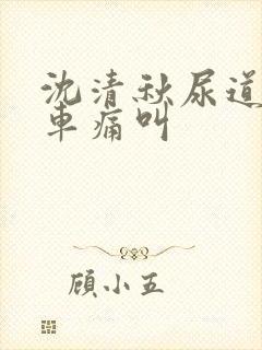 沈清秋尿道扩张车痛叫