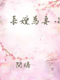 长嫂为妻 小说