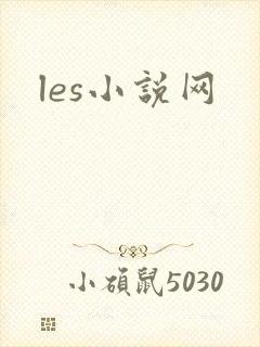 les小说网