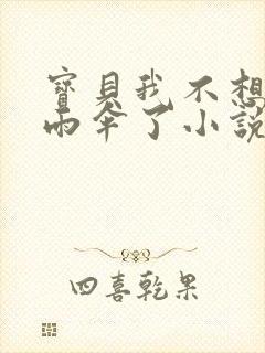 宝贝我不想带小雨伞了小说