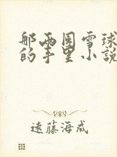 那两团雪球在他的手里小说